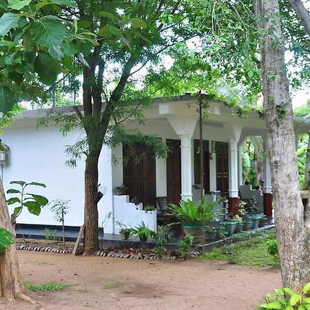 Sigiriya Flower Guest Exterior photo